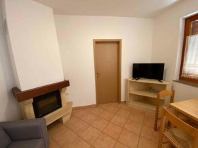 Apartments in Novigrad/Istrien 36128